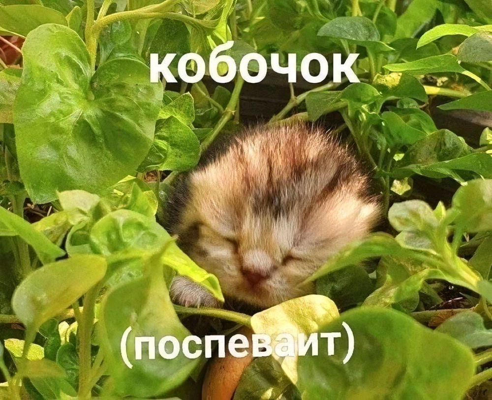 💖
