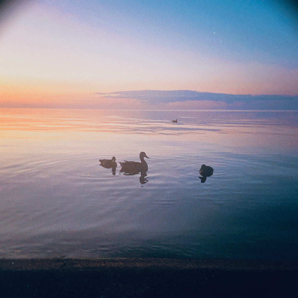 📷🌅