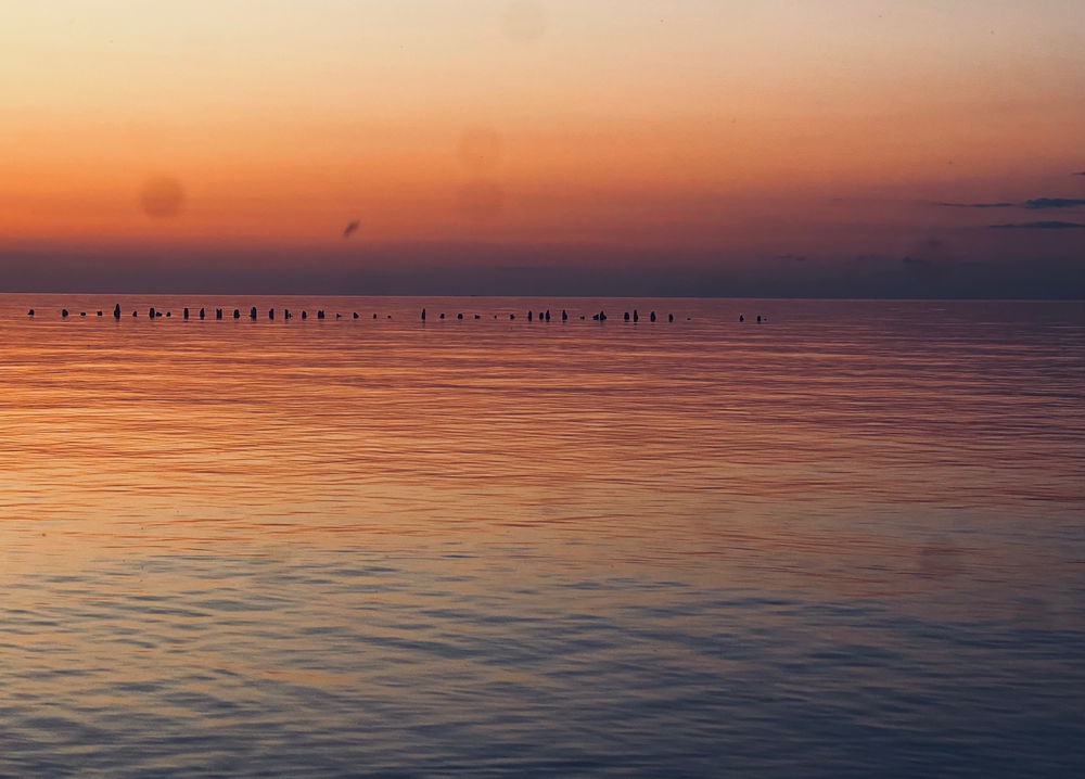 📷🌅