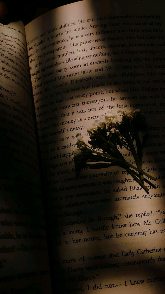 Lost in Imaginary Pleasure!