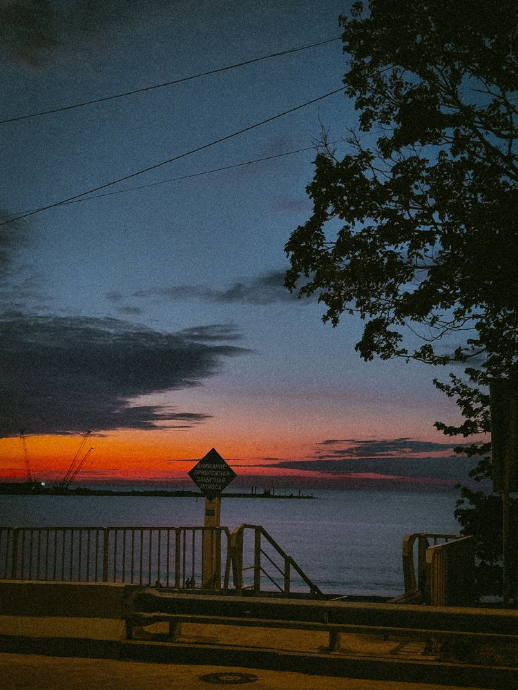 ✨
