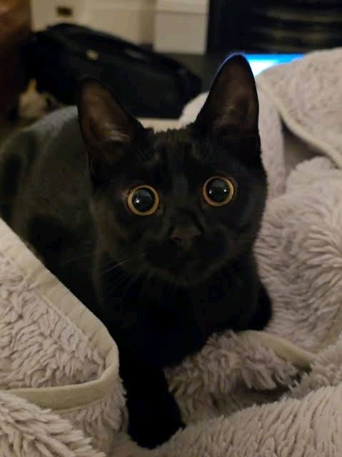 Me, leaving friendly comments on a woman's post bc I think her post really interesting.

Her : "Sorry, I don't talk to Scorpio"

Me  :