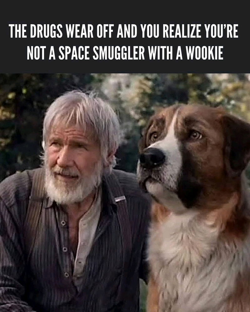 🚀