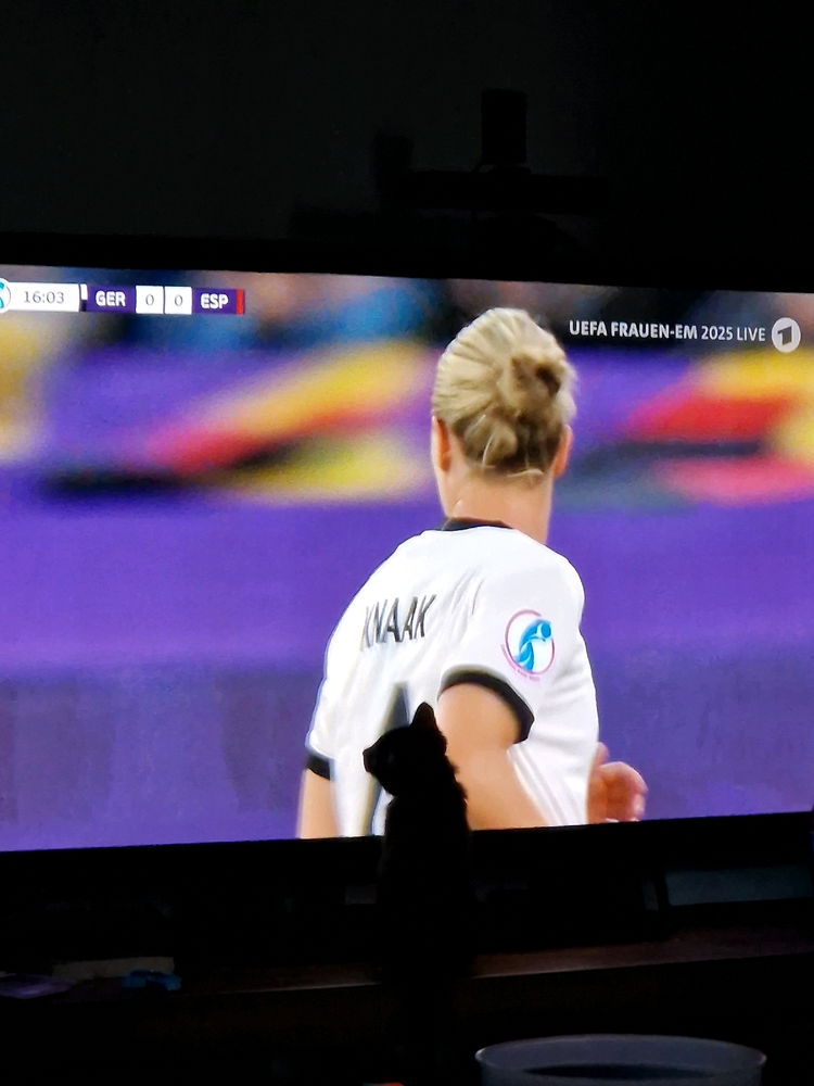 Kater schaut Fußball ⚽️