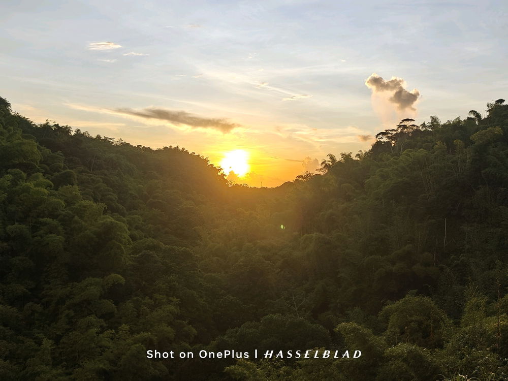Beauty of the Sunset