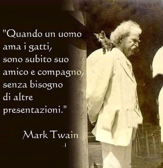 Tra gattari ci si intende 😌😸