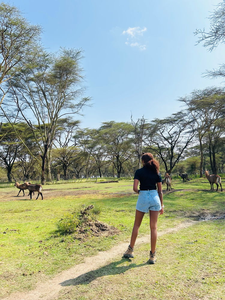 Take a walk on the wild side of life🥰