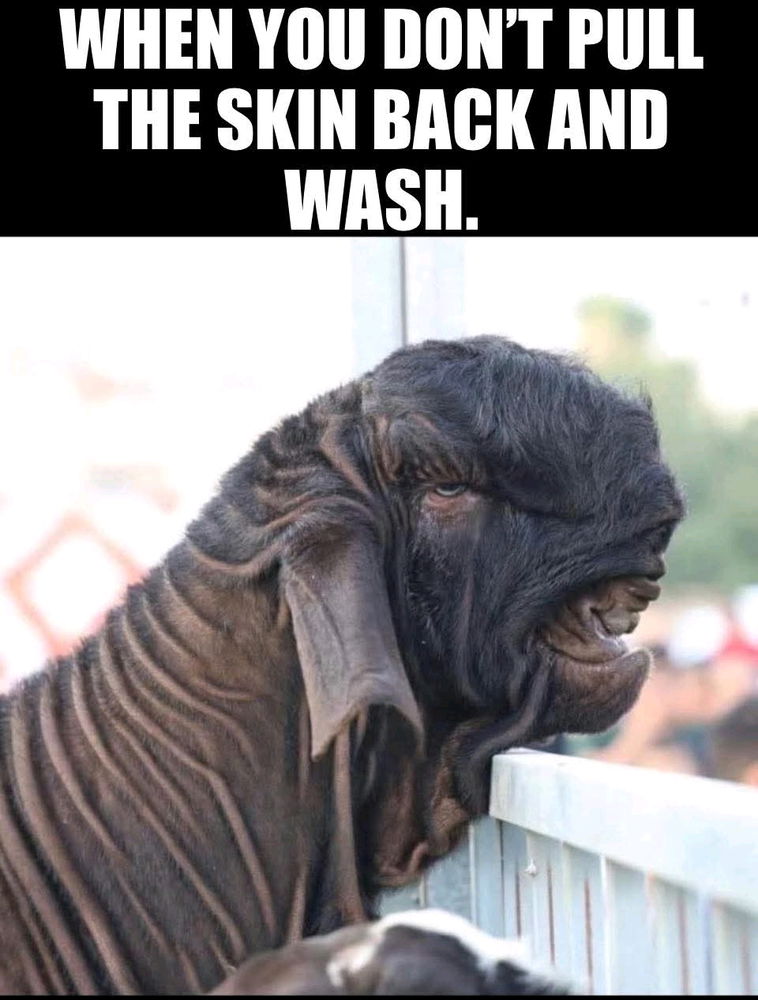 👹
