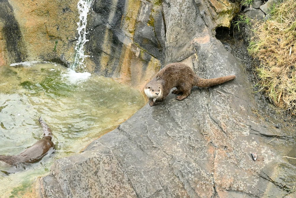Petite sortie en famille à Ecozonia