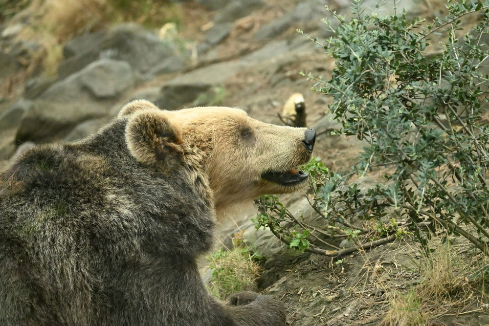 Petite sortie en famille à Ecozonia