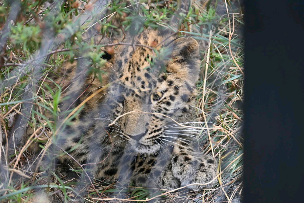 Petite sortie en famille à Ecozonia