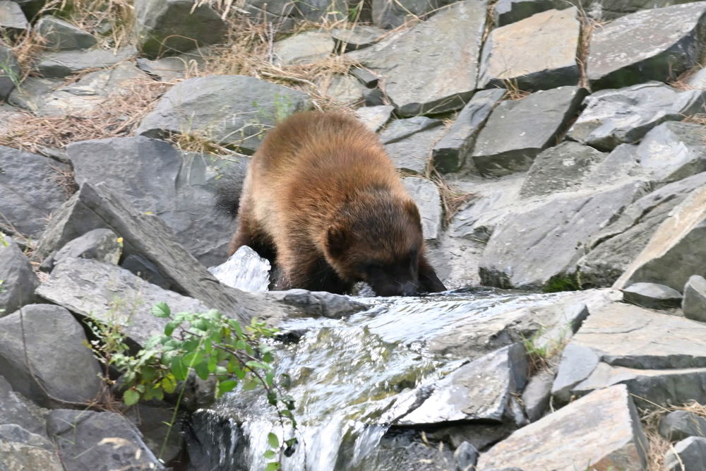 Petite sortie en famille à Ecozonia