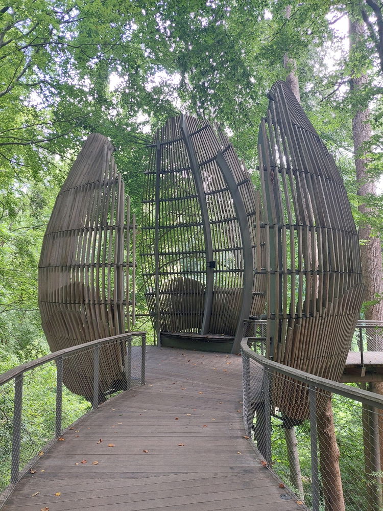 Amazing place to sit in the great outdoors