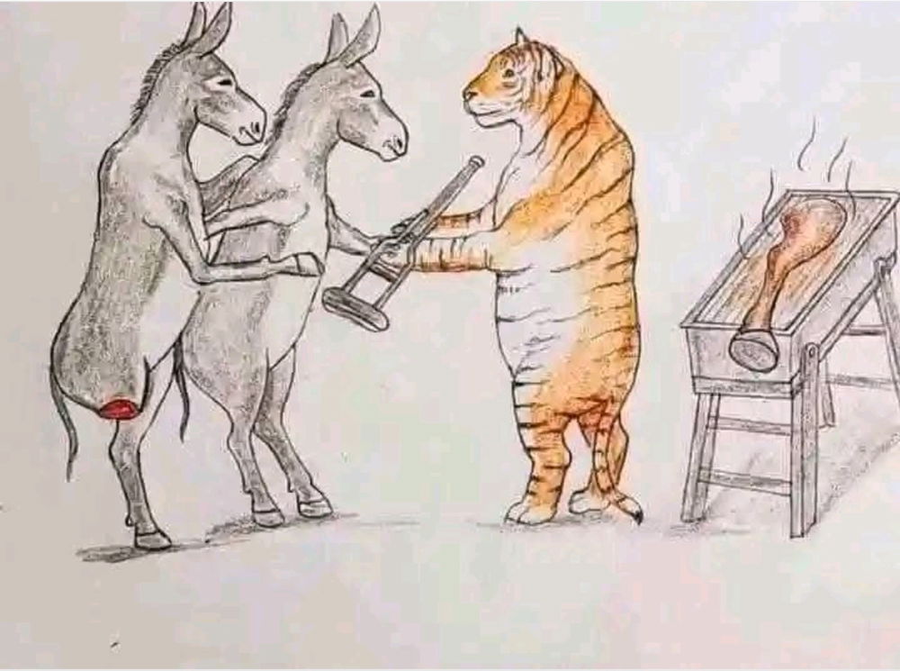 Quel titre ou citation donneriez pour cette image ?🤔