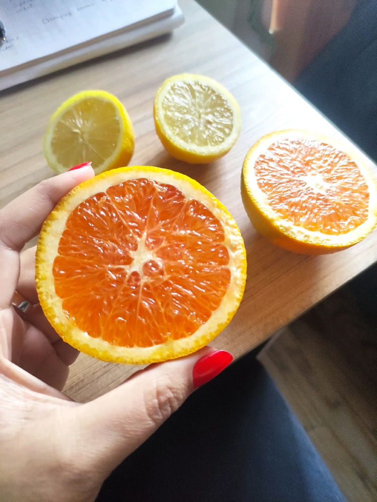 🍊🍋