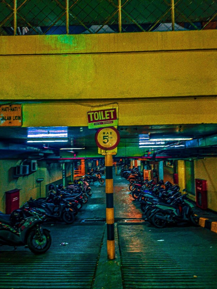 Night