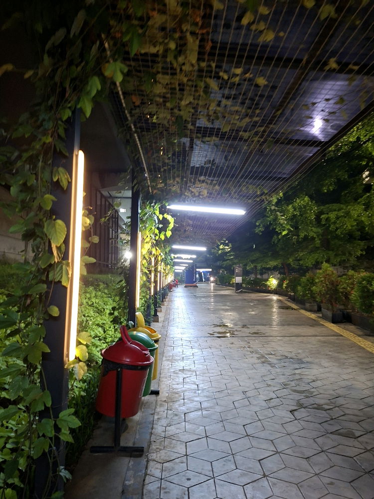 Night