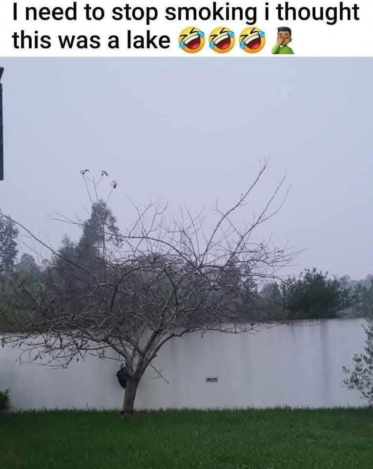 I take a fence to this