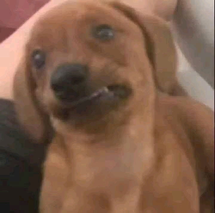 ¿?