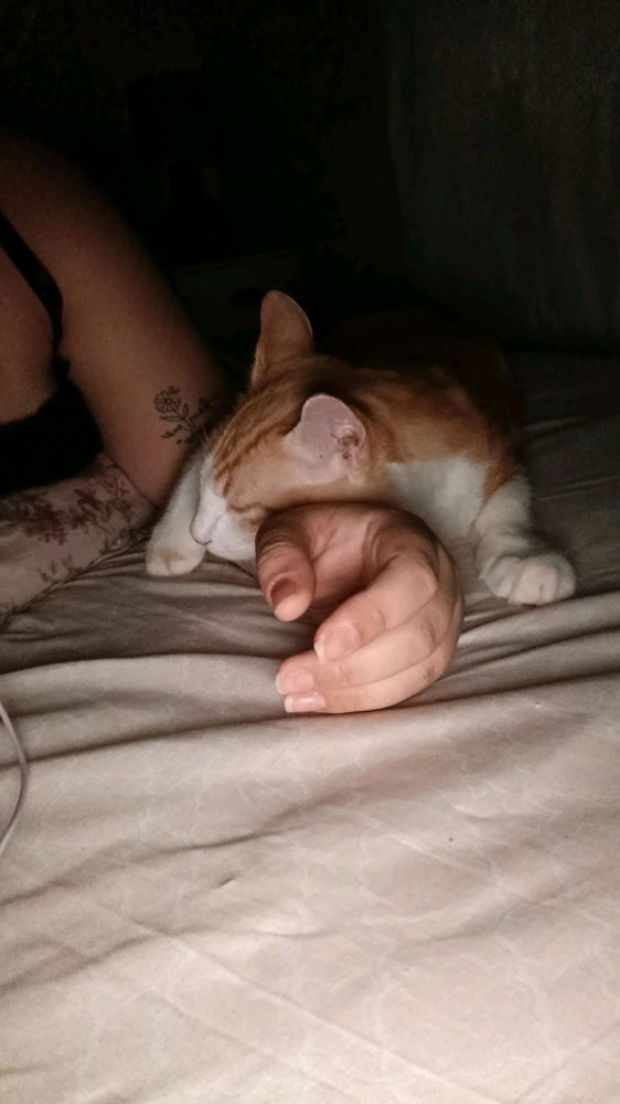 A linguagem do amor dele é carinho e denguinho minha gente.