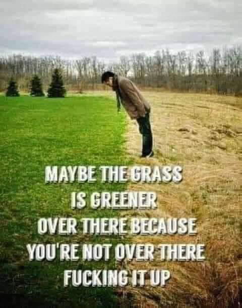 Lawncare.