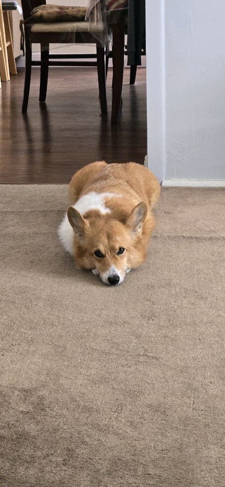 Staredown