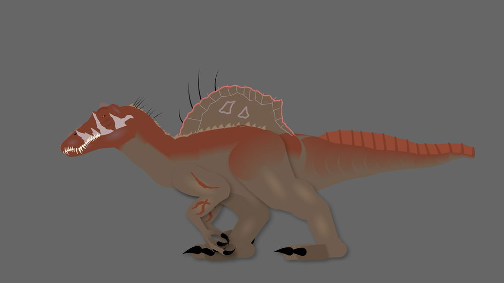 Indospinus Rex