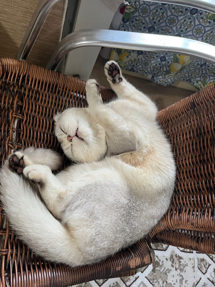 Sleepy