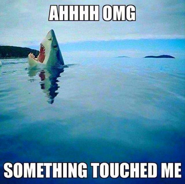 АааааНнннн🦈