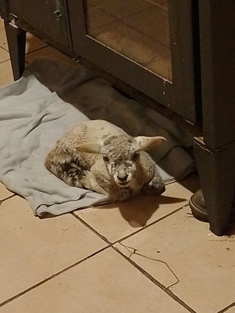 Hace frío