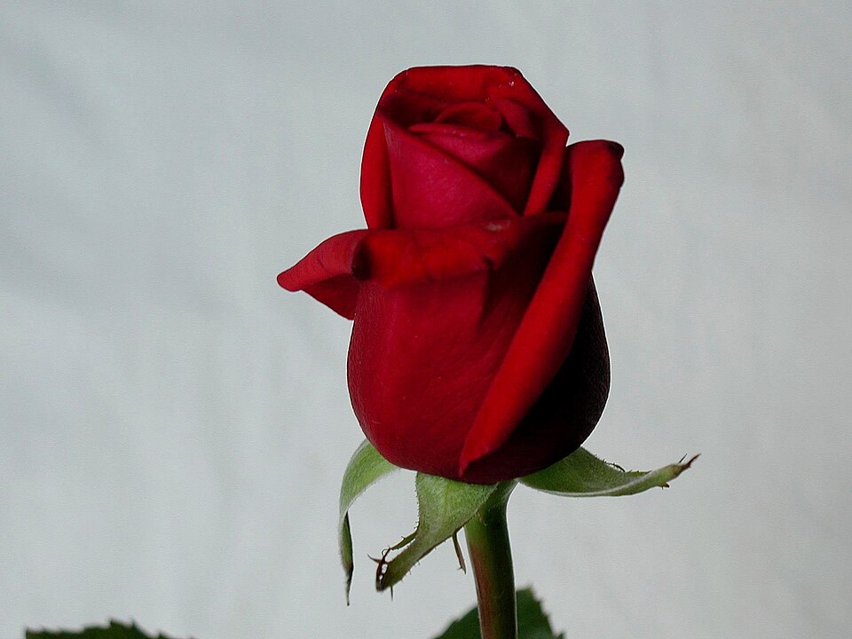 For you