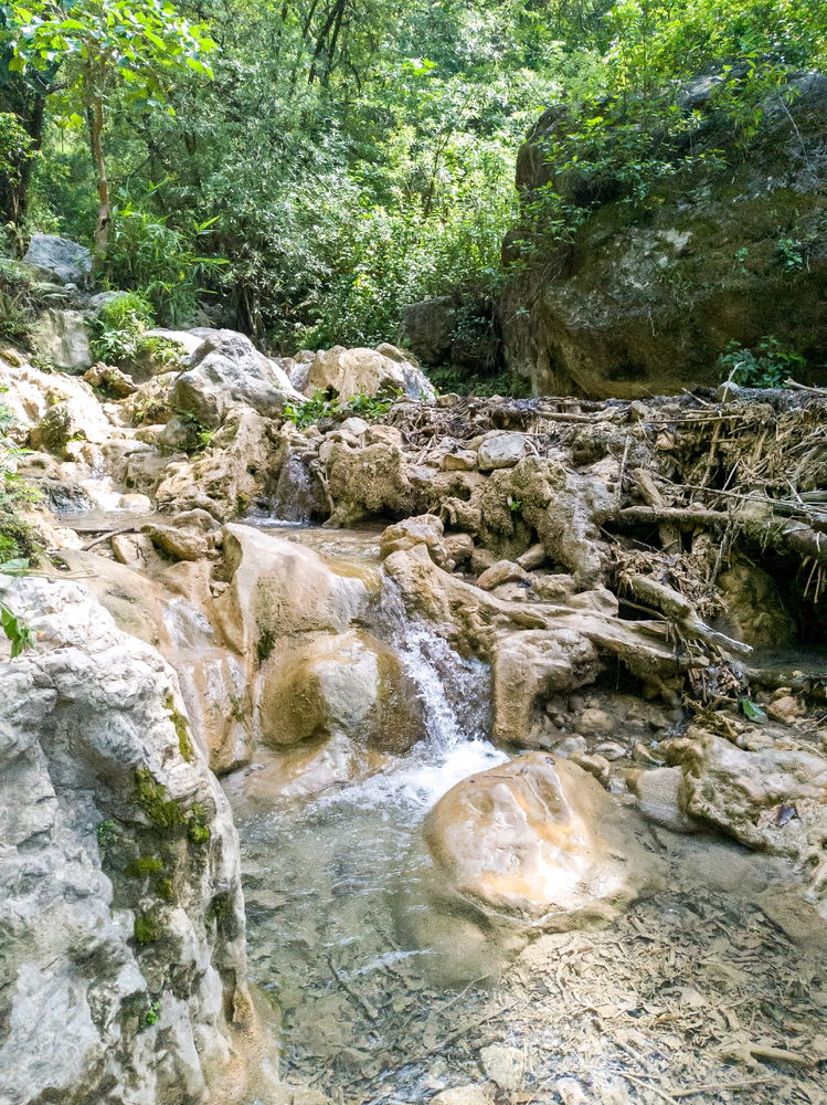 Rishikesh, uttarakhand