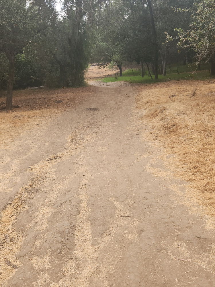 Murphy Ranch 1