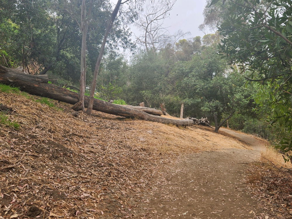 Murphy Ranch 1