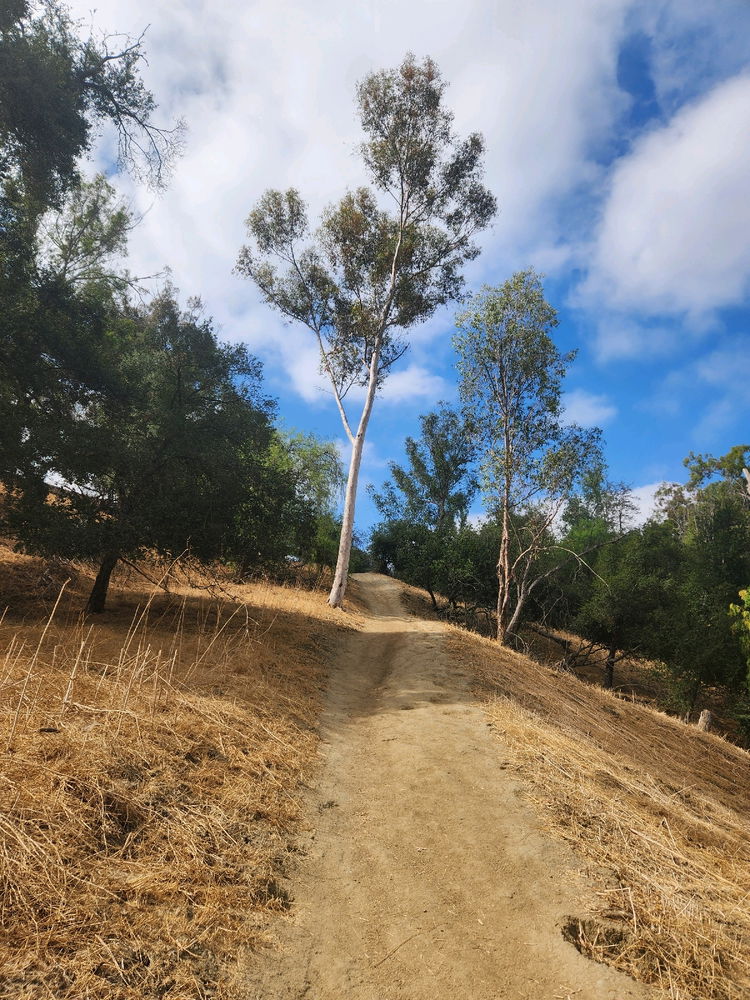 Murphy Ranch 1