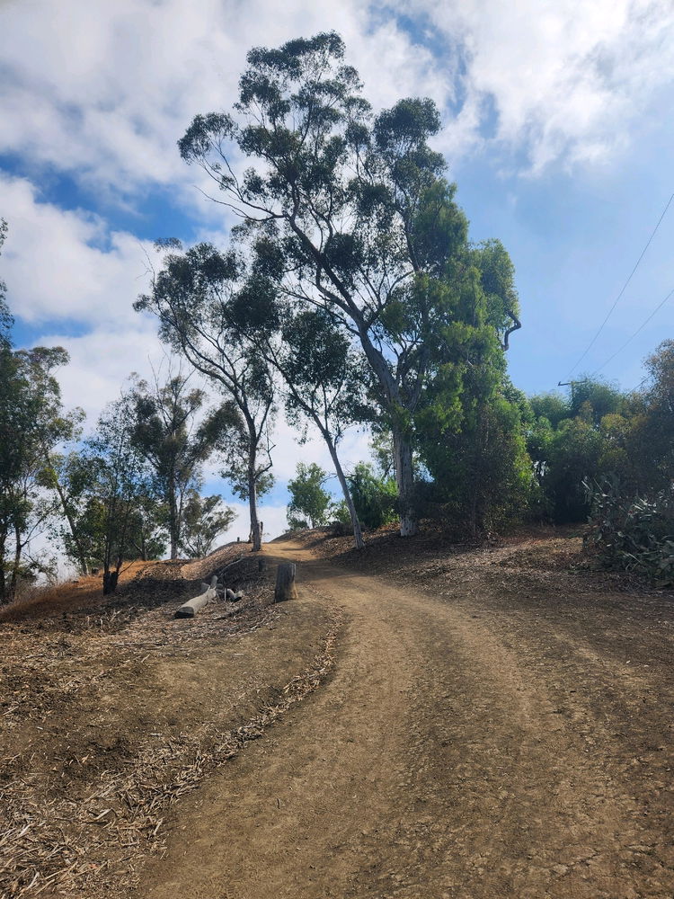 Murphy Ranch 1