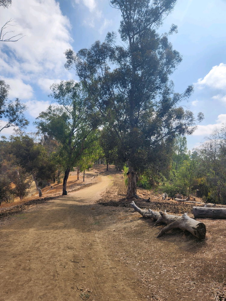 Murphy Ranch 2