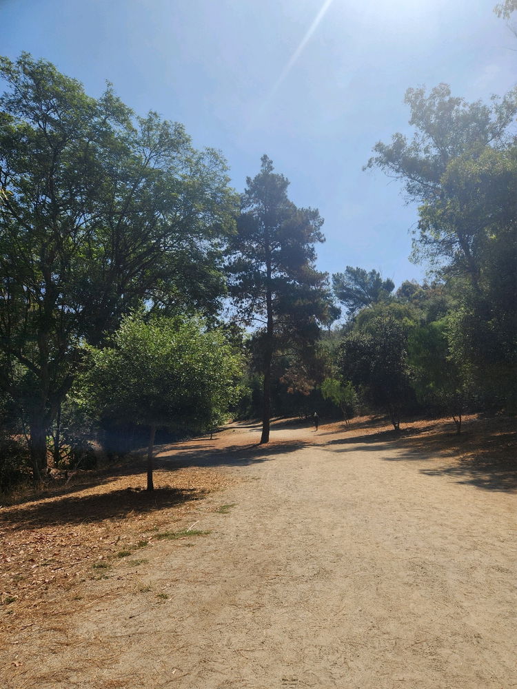 Murphy Ranch 2