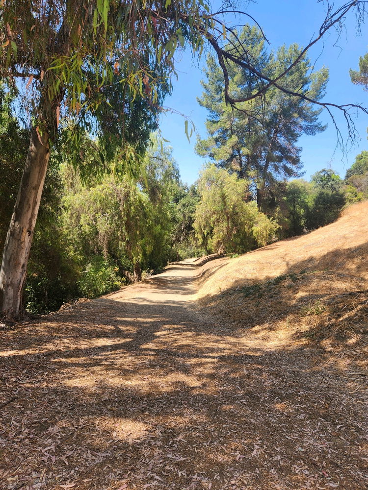 Murphy Ranch 3