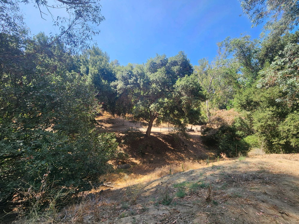 Murphy Ranch 3