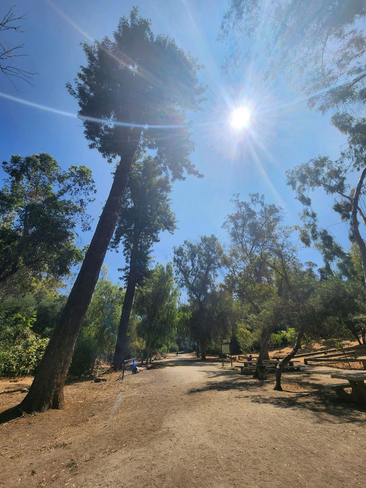 Murphy Ranch 3