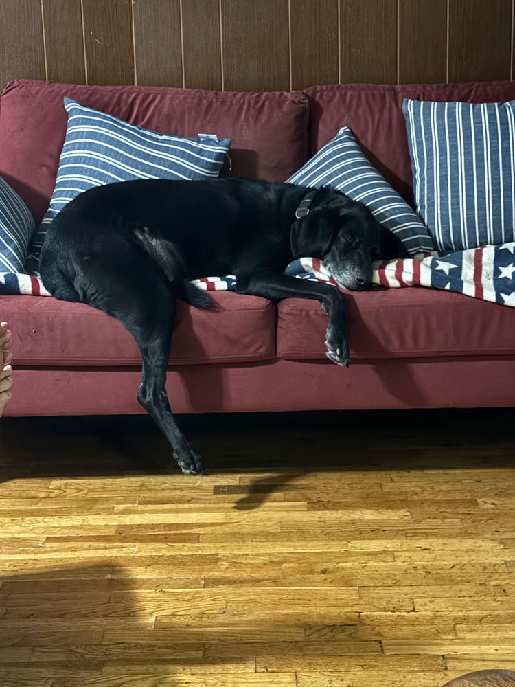 Porter is tired!!