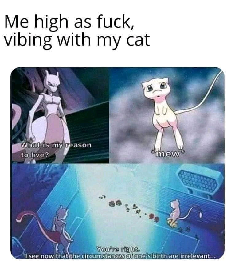 ✌🏻