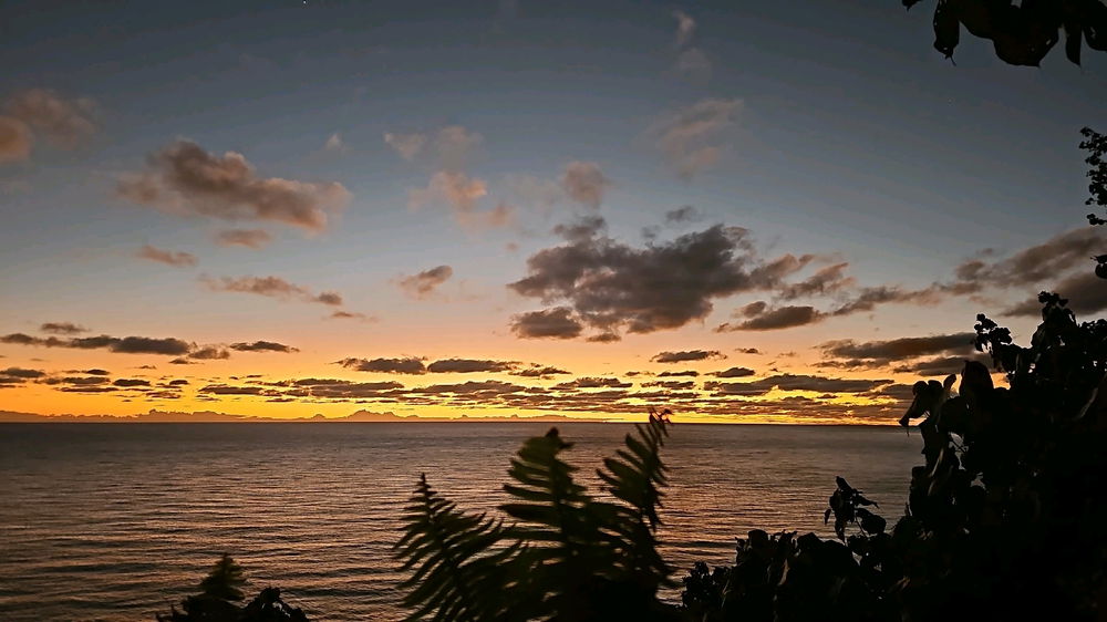 Tahiti ❤️