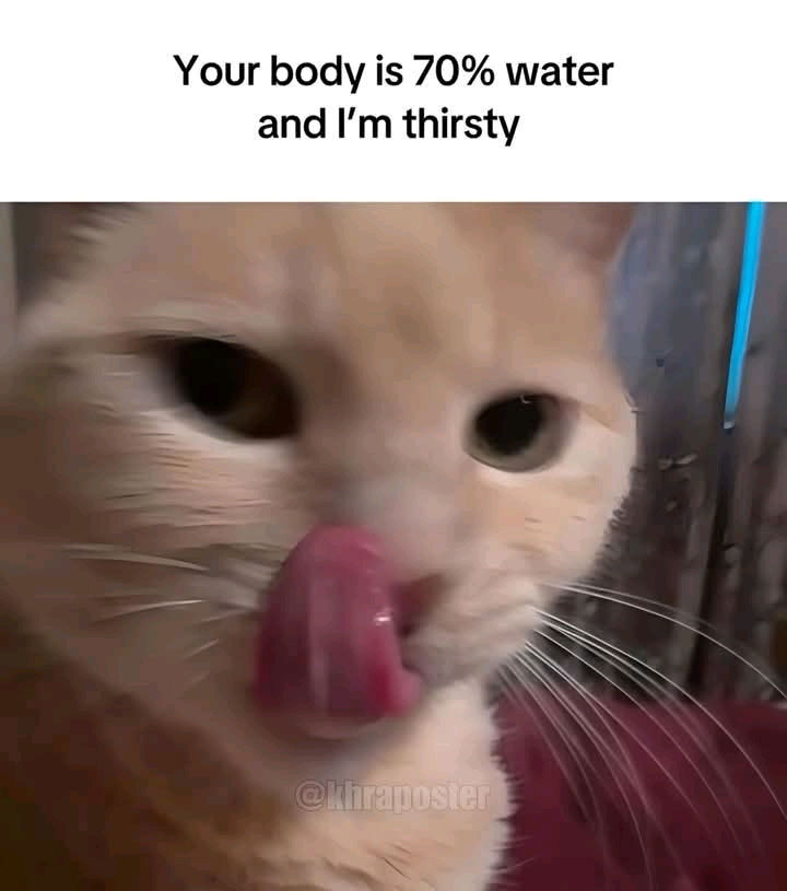 Water, please!👀