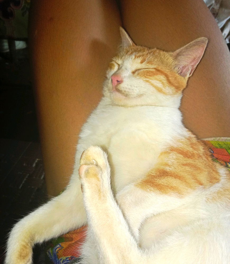 asleep as always