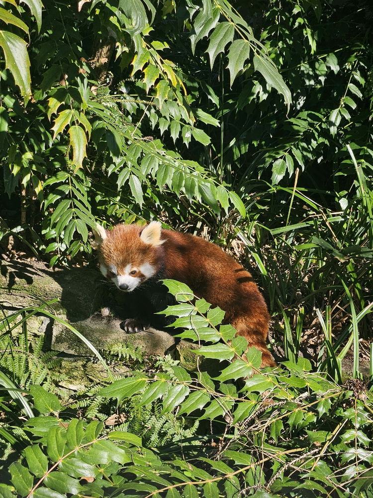 Rotterdam Zoo