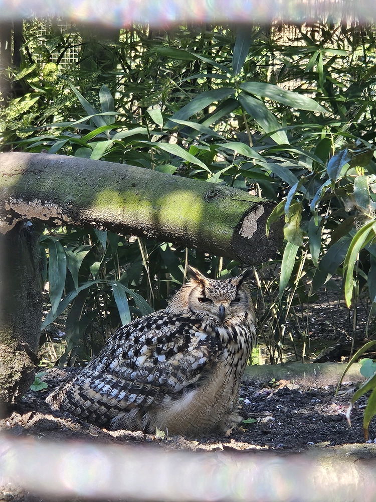 Rotterdam Zoo