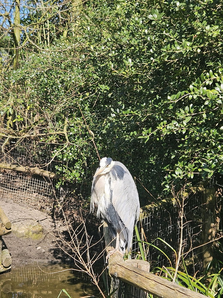 Rotterdam Zoo