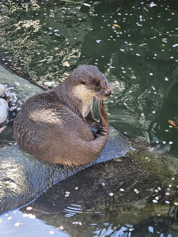 Rotterdam Zoo